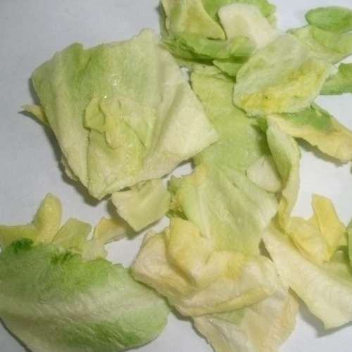 Freeze Dried Cabbage Slice